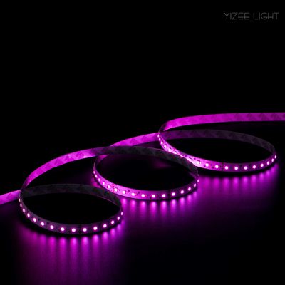 10mm 5m rGB Led Strip Lights 24V 60LEDs/M 14.4W LED Tape Colour Changing