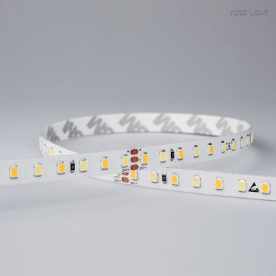 9.6W/M CCT Color Temperature Adjustable LED Strip Flexible Neon 2835 240LEDs/M