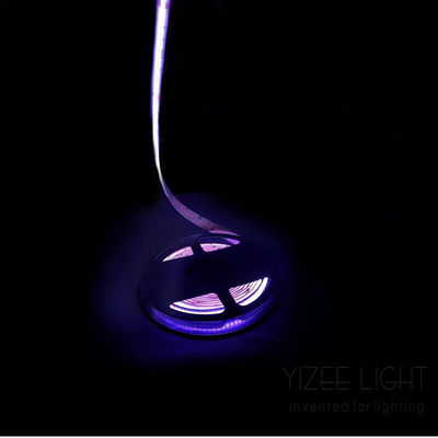 Dotless Colorful Cob Rgb Rgbw Addressable Led Strip 784Chips/M 24V 12mm