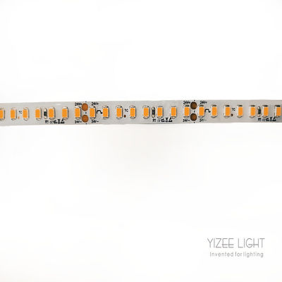 8mm 12W High Efficiency LED Strip 160LM/W Ra90 SMD2835 Led Strip 160LEDs